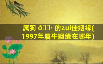 属狗 🌷 的zui
佳姻缘(1997年属牛姻缘在哪年)